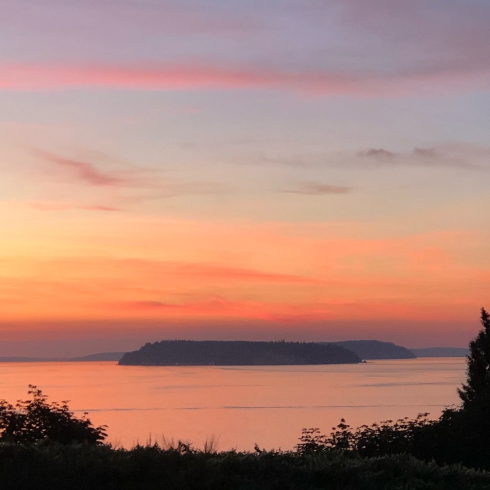 Meet your Posher, Darcy